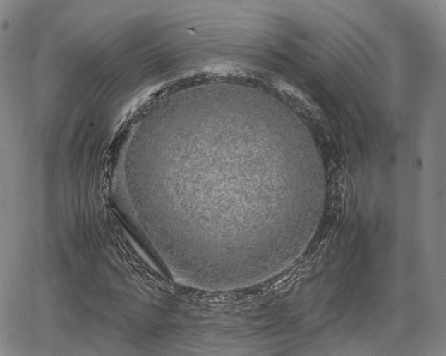 X0000067500776200604101229