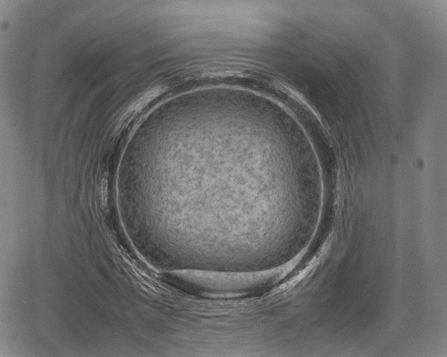 X0000067500777200604101229