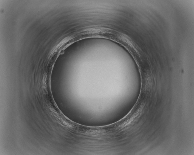 X0000067500778200604101229