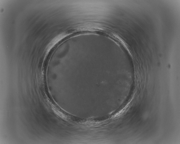 X0000067500779200604101229