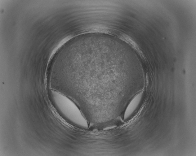 X0000067500780200604101229