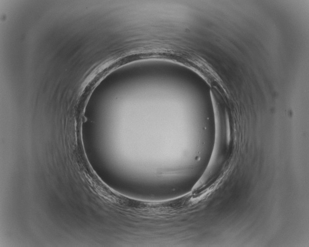 X0000067500781200604101229