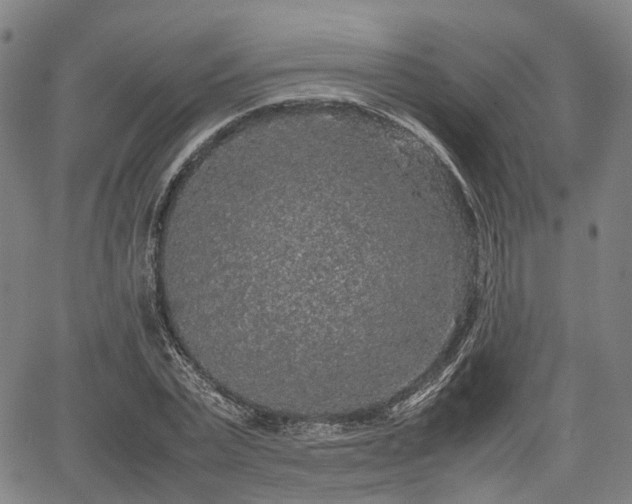 X0000067500783200604101229