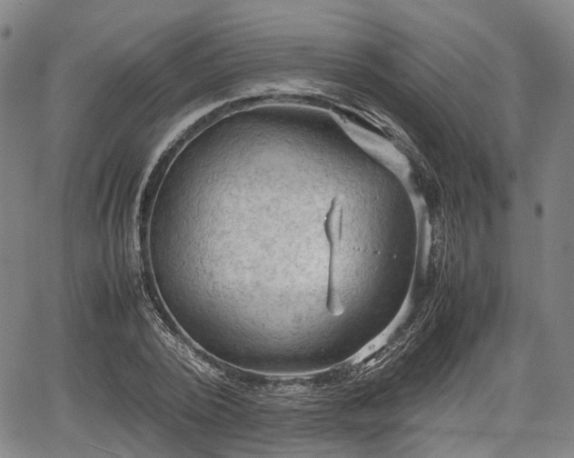 X0000067500784200604101229