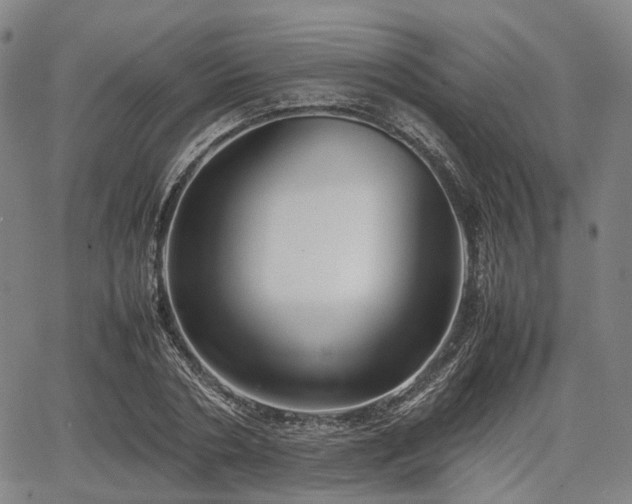 X0000067500786200604101229