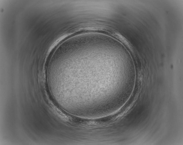 X0000067500787200604101229