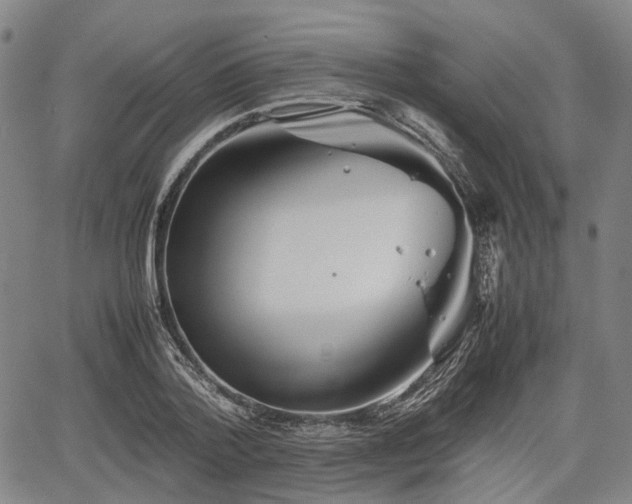 X0000067500788200604101229