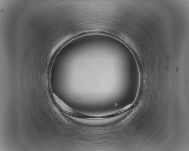 X0000067500789200604101229