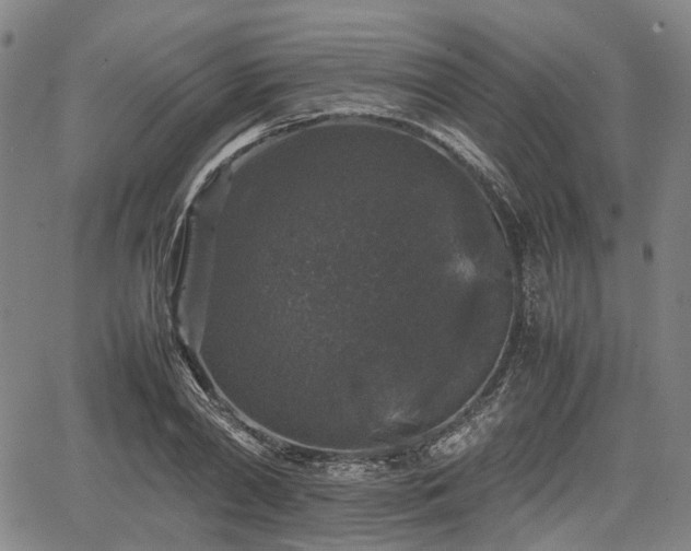 X0000067500790200604101229