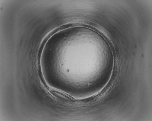 X0000067500791200604101229