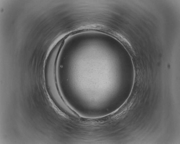 X0000067500792200604101229