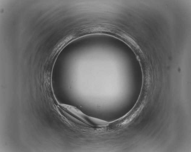 X0000067500793200604101229