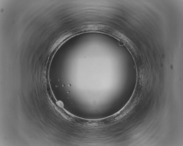 X0000067500794200604101229