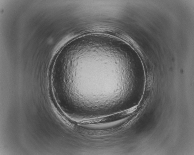 X0000067500795200604101229