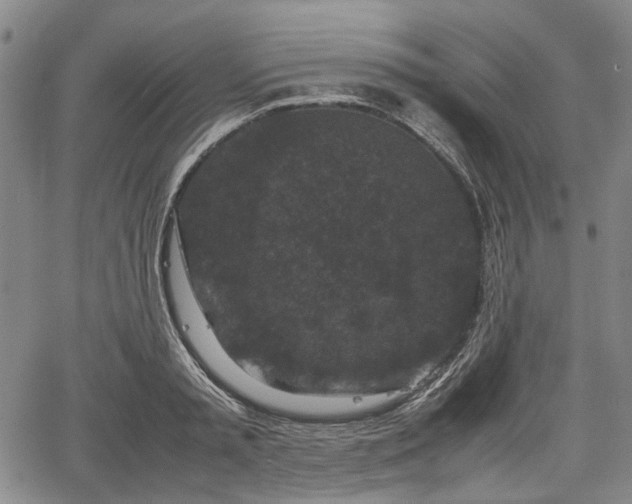 X0000067500797200604101229