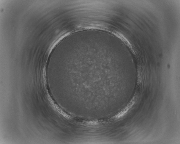 X0000067500798200604101229