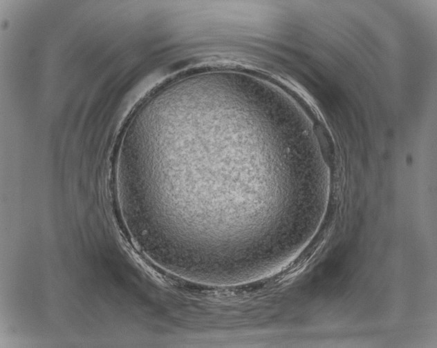 X0000067500799200604101229