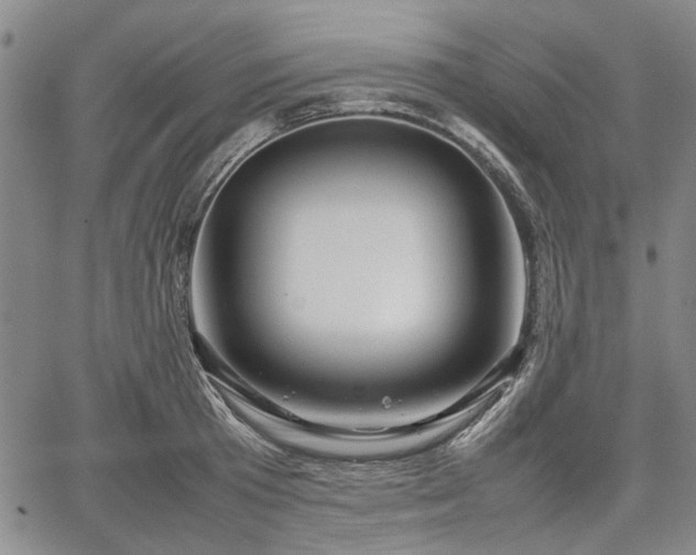 X0000067500801200604101229