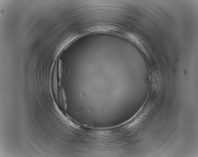 X0000067500802200604101229