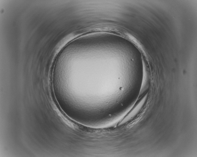 X0000067500803200604101229