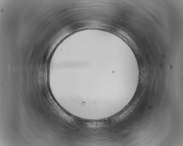 X0000067500804200604101229