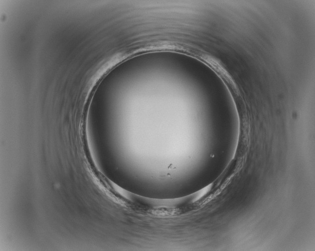 X0000067500805200604101229