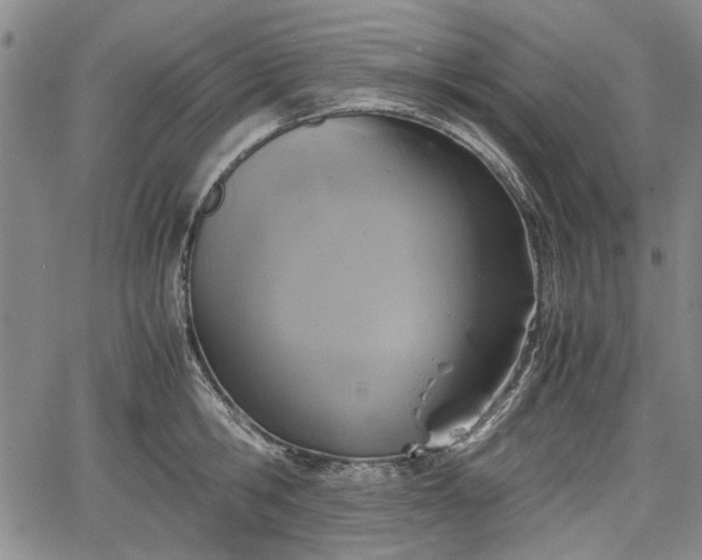 X0000067500806200604101229