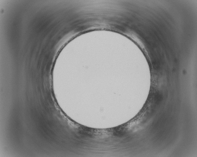 X0000067500807200604101229