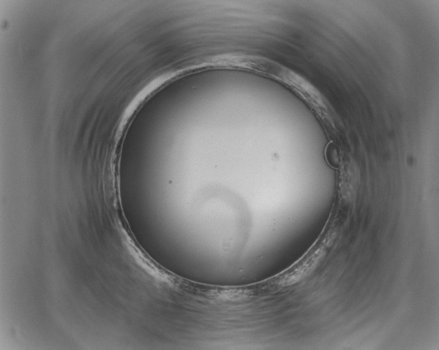 X0000067500808200604101229