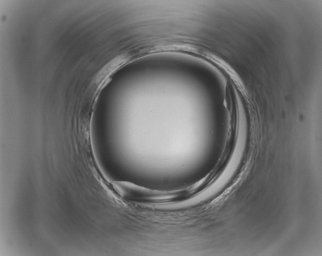 X0000067500809200604101229