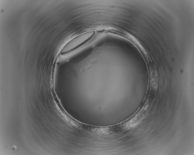 X0000067500810200604101229