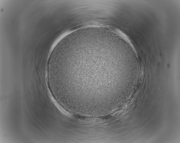 X0000067500811200604101229