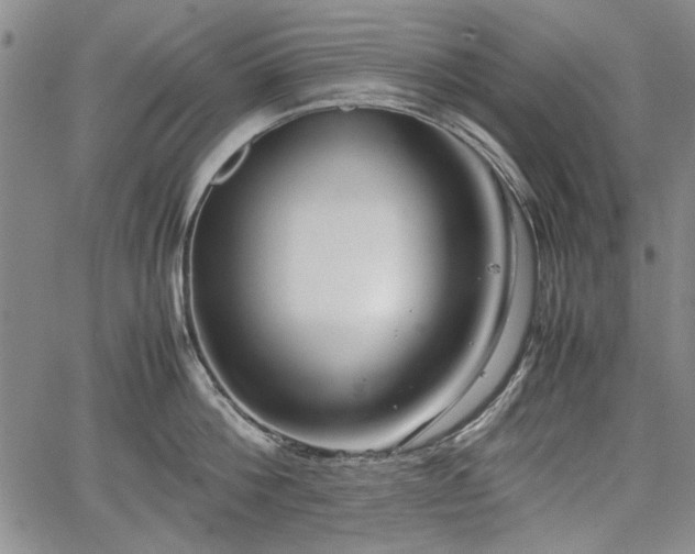 X0000067500812200604101229