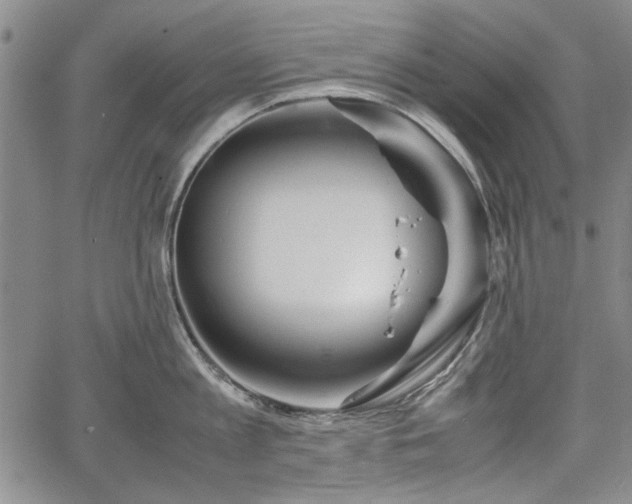 X0000067500813200604101229