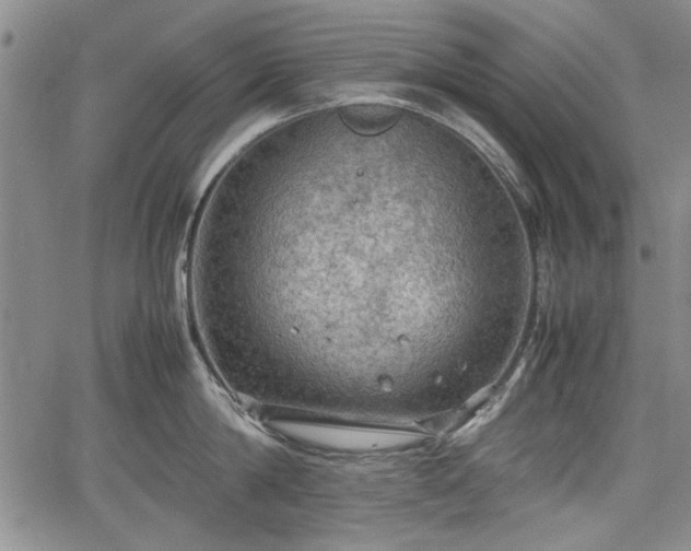 X0000067500814200604101229