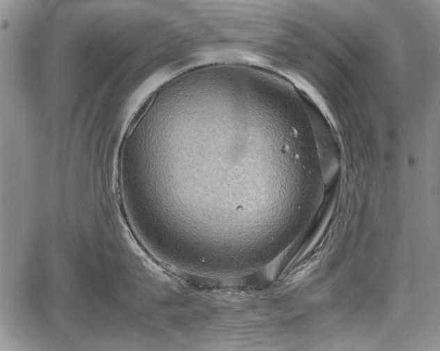 X0000067500815200604101229