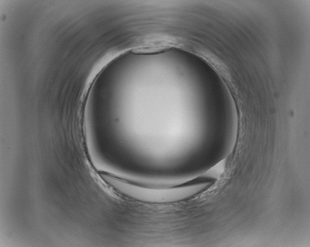 X0000067500816200604101229