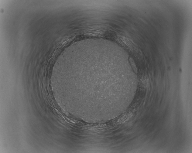 X0000067500817200604101228