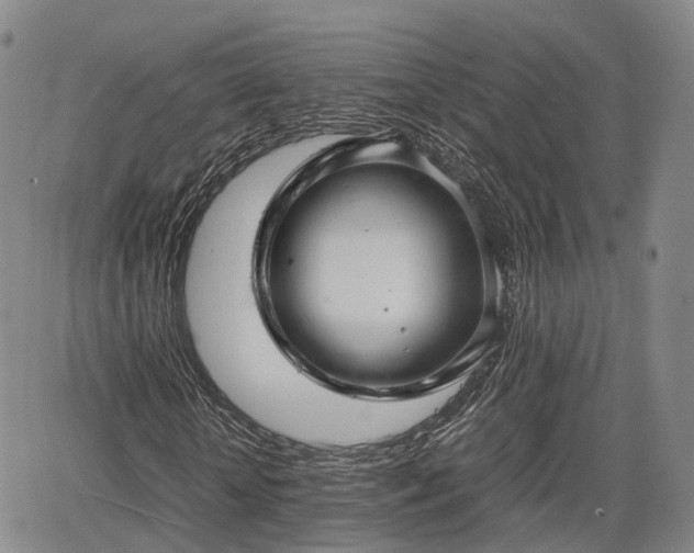 X0000067500818200604101228