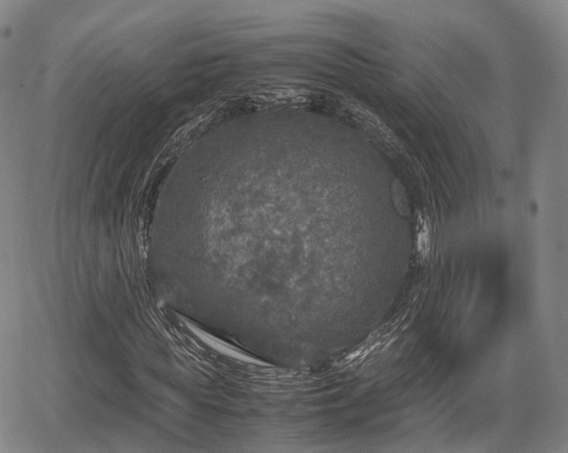 X0000067500819200604101228