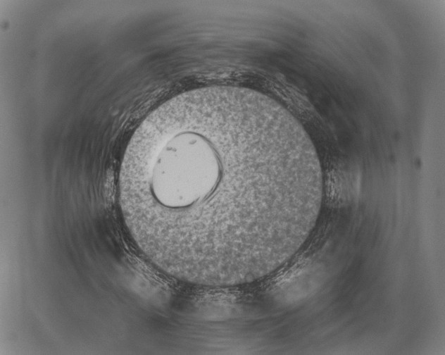 X0000067500820200604101228