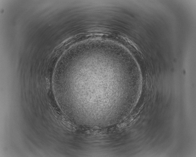 X0000067500821200604101228