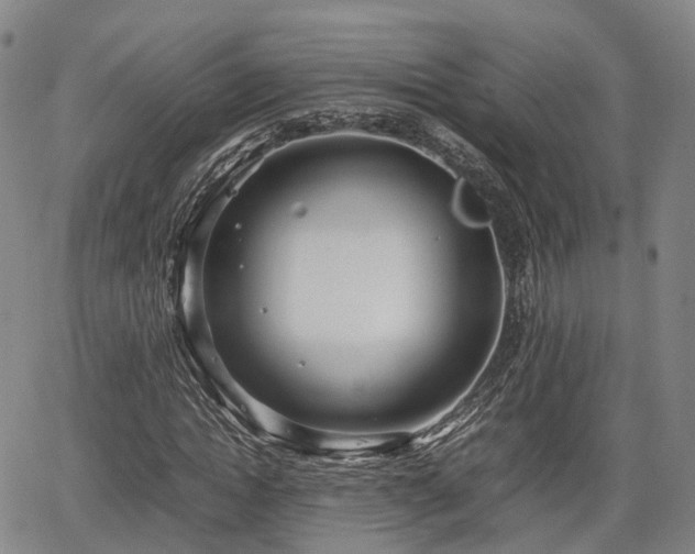 X0000067500822200604101228