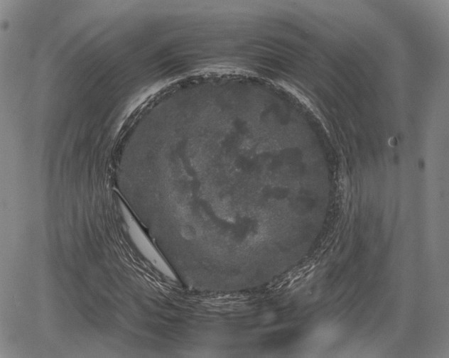 X0000067500823200604101228