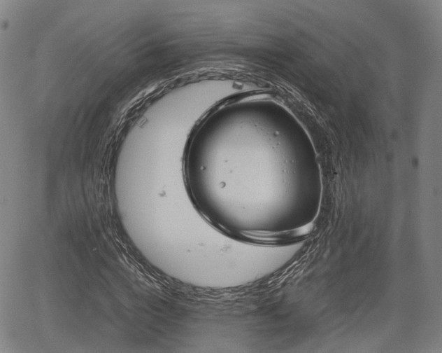 X0000067500824200604101228