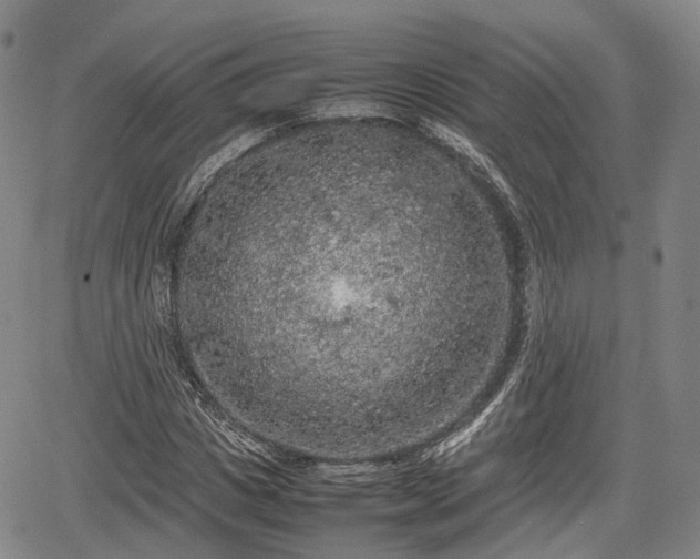 X0000067500825200604101228