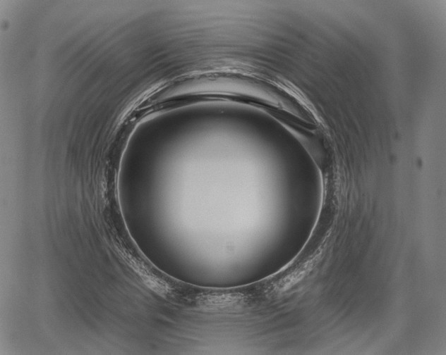 X0000067500826200604101228