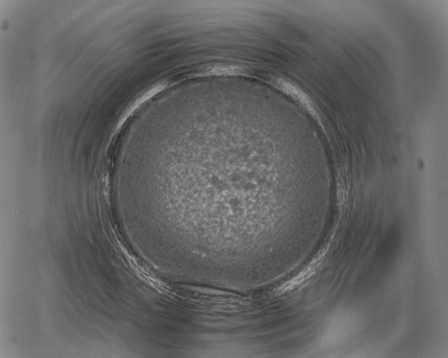 X0000067500827200604101228