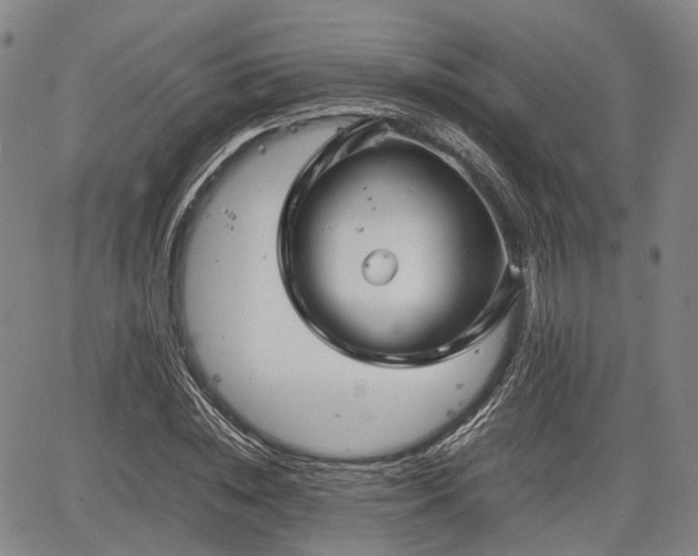 X0000067500828200604101228