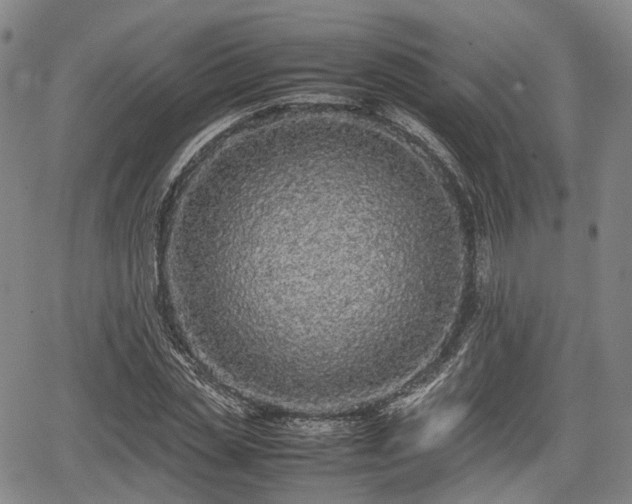 X0000067500829200604101228